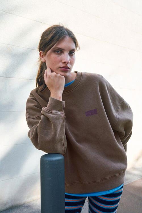 American Vintage Damessweater Plizzy | Bruin