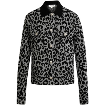 Morgan Vest  252-MBOLEO