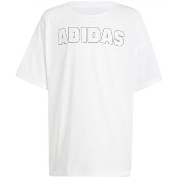 Adidas T-shirt Korte Mouw  in1908