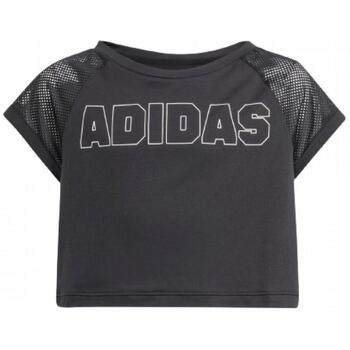 Adidas T-shirt Korte Mouw  is3776_cropped