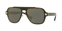 Versace Sonnenbrillen Versace VE2199 12524T