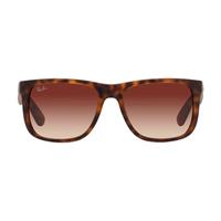 Ray-Ban zonnebril 0RB4165