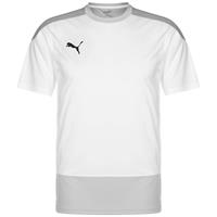 Puma teamGoal 23 Trainingsshirt Herren T-Shirts weiß Herren 