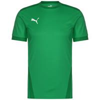 Puma teamGoal 23 Fußballtrikot Herren T-Shirts dunkelgrün Herren 