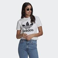 Adidas T-shirt ADICOLOR CLASSICS TREFOIL