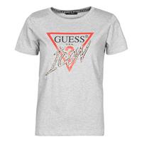 Guess  T-Shirt SS CN ICON TEE