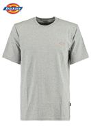 Dickies Männer T-Shirt Mapleton in grau