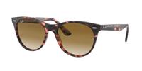 RAY-BAN RB 2185 WAYFARER II | Unisex-Sonnenbrille | Panto | Fassung: Mineral Havanna | Glasfarbe: Braun