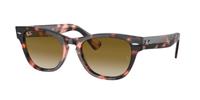Ray-Ban Sonnenbrillen RB2201 Laramie 133451