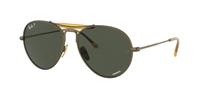 Ray-Ban Sonnenbrillen RB8063  Polarized 9207P1