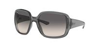 Ray-Ban Sonnenbrillen RB4347 Powderhorn 653011