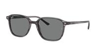 Ray-Ban Sonnenbrillen RB2193F Leonard Asian Fit 1314B1