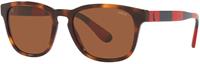 Polo Ralph Lauren Sonnenbrillen PH4170 530373