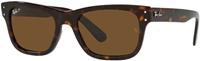 Ray-Ban Sonnenbrillen RB2283 Mr Burbank Polarized 902/57