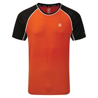 Dare2b Conflux Wool Tee Herren T-Shirt orange Gr. S