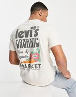 Levi'sT-ShirtSSRELAXEDFITTEEBIFRESHUNDYEDGREIG16143-0499