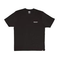 Dickies Männer T-Shirt Artondale Box in schwarz