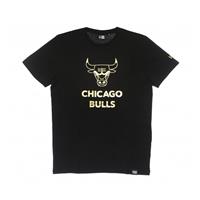 newera New Era Männer T-Shirt NBA Chicago Bulls Staked Metallic Print Oversized in schwarz