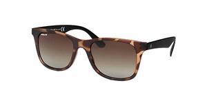 Polar Sonnenbrillen PL MISTRAL Polarized 428