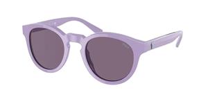 Polo Ralph Lauren POLO BY RALPH LAUREN PH4184 | Unisex-Sonnenbrille | Panto | Fassung: Kunststoff Lila | Glasfarbe: Lila