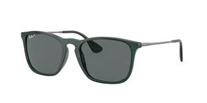 Ray-Ban Sonnenbrillen RB4187F Chris Asian Fit 666381