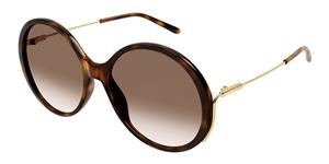 Chloé CHLOE CH0171S | Damen-Sonnenbrille | Rund | Fassung: Kunststoff Havanna | Glasfarbe: Braun