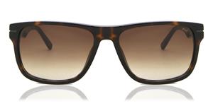 FILA FIASFI208 | Herren-Sonnenbrille | Eckig | Fassung: Kunststoff Havanna | Glasfarbe: Braun