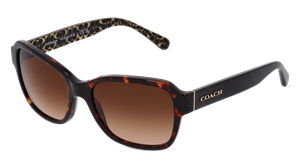 COACH HC8232 | Damen-Sonnenbrille | Butterfly | Fassung: Kunststoff Havanna | Glasfarbe: Braun