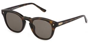 LOZZA LOZSL4303 | Unisex-Sonnenbrille | Panto | Fassung: Kunststoff Havanna | Glasfarbe: Braun