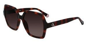 CALVIN KLEIN CKJ21629S | Damen-Sonnenbrille | Eckig | Fassung: Kunststoff Havanna | Glasfarbe: Braun