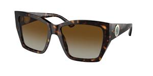 Bvlgari Sonnenbrillen BV8260 Polarized 504/T5