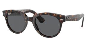 Ray-Ban Sonnenbrillen RB2199F Orion Asian Fit 902/B1