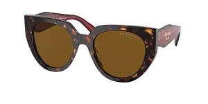 pradaeyewear Prada Eyewear Sonnenbrillen für Frauen PR 14WS 2AU5Y1 TORTOISE/DARK BROWN