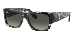 Ray-Ban Sonnenbrillen RB2187 Wayfarer Nomad 133371