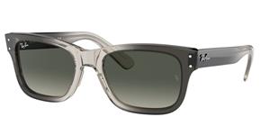 Ray-Ban Sonnenbrillen RB2283F Mr Burbank Asian Fit 134071