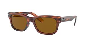 Ray-Ban Sonnenbrillen RB2283 Mr Burbank 954/33