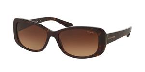 COACH HC8168 | Damen-Sonnenbrille | Eckig | Fassung: Kunststoff Havanna | Glasfarbe: Braun