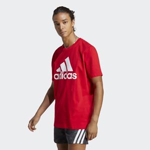 Adidas Essentials Big Jersey Big Logo T-shirt