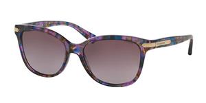 COACH HC8132 | Damen-Sonnenbrille | Butterfly | Fassung: Kunststoff Havanna | Glasfarbe: Lila