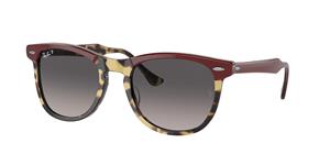 Ray-ban Unisex-Sonnenbrille RB2398 1377M3 53-21 Eagle Eye Polarized