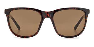 FOSSIL 3145/S | Herren-Sonnenbrille | Eckig | Fassung: Kunststoff Havanna | Glasfarbe: Braun