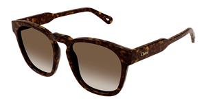 chloesunglasses Chloe Sunglasses Sonnenbrillen für Frauen CH0160S 002