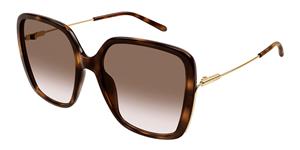 chloesunglasses Chloe Sunglasses Sonnenbrillen für Frauen CH0173S 002
