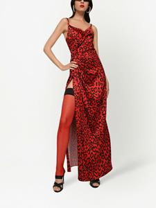 Dolce & Gabbana Jurk met luipaardprint - Rood