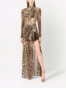 Dolce & Gabbana Jurk met luipaardprint - Bruin