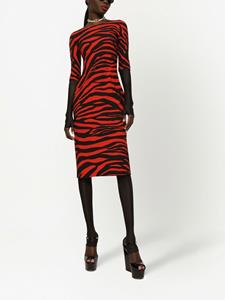 Dolce & Gabbana Kokerjurk met zebraprint - Rood