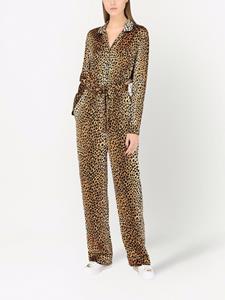 Dolce & Gabbana Jumpsuit met luipaardprint - Goud