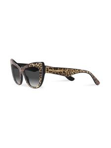 Dolce & Gabbana Eyewear Zonnebril met luipaardprint - Bruin