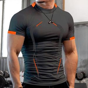 Tianshan Chic 3D Cutting Sportswear Breathable Men Gym Sport Tee Shirt Daily Garment Fitness T-shirt