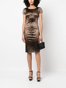 Dolce & Gabbana Pre-Owned 2000s fluwelen jurk met luipaardprint - Bruin